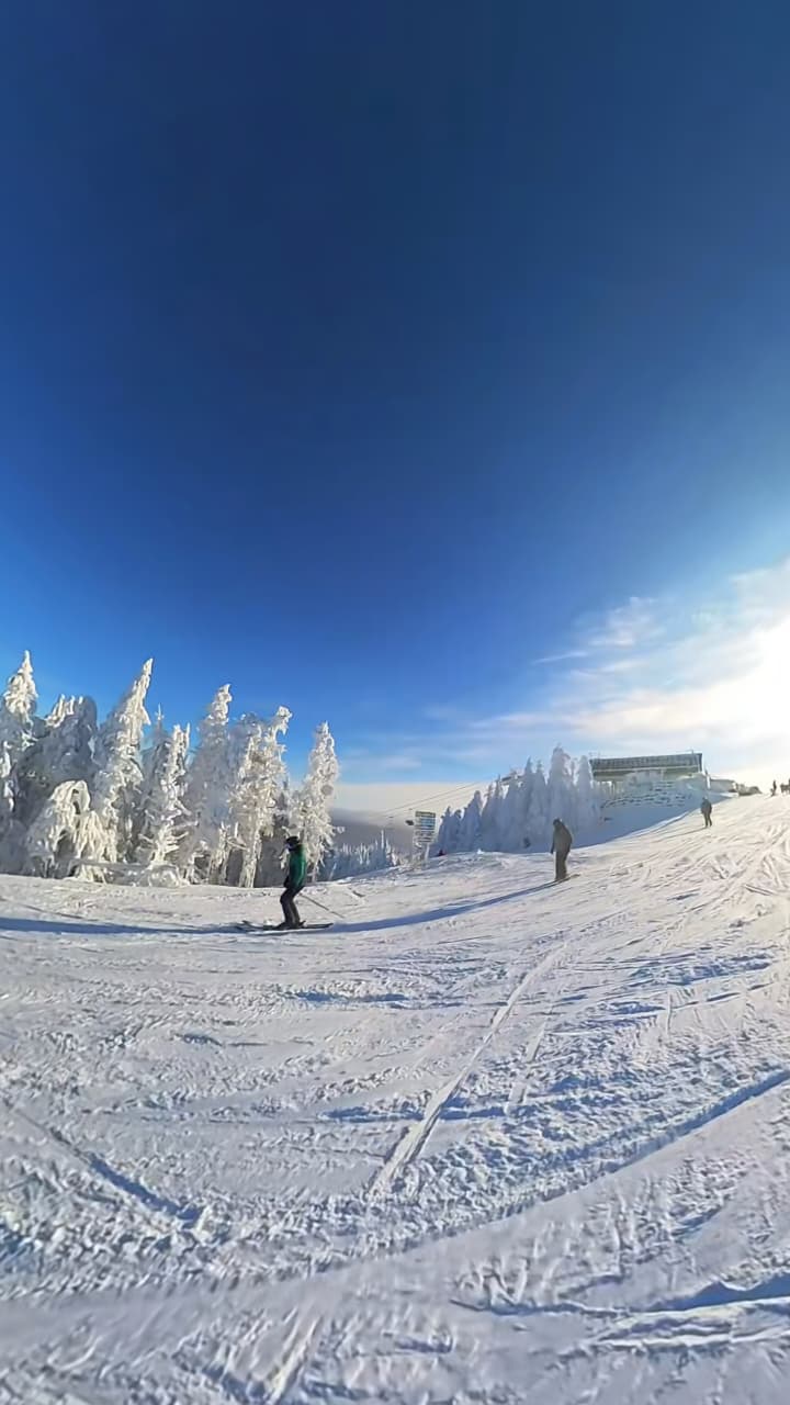 Esquiadores em pistas nevadas